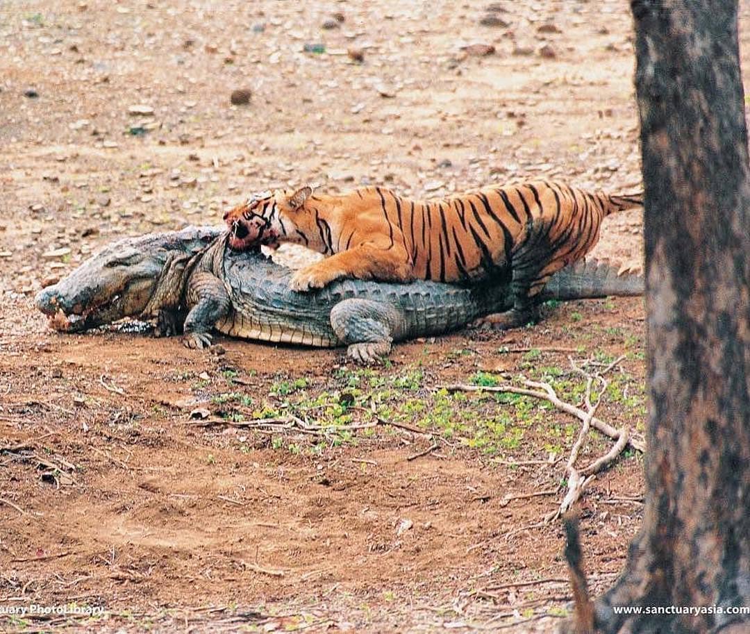 35250369_180565212636419_5991601135947874304_n