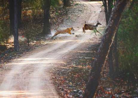 36840863_1885805178147413_4717848998575079424_n