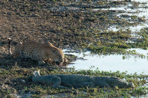 7942355182_b2a59e1790_b