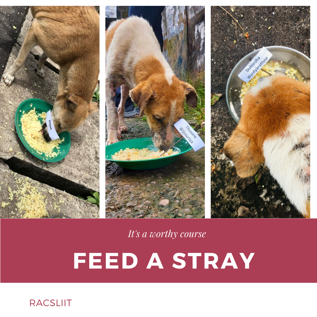 Green Minimalist Plant Social Media Post (1)