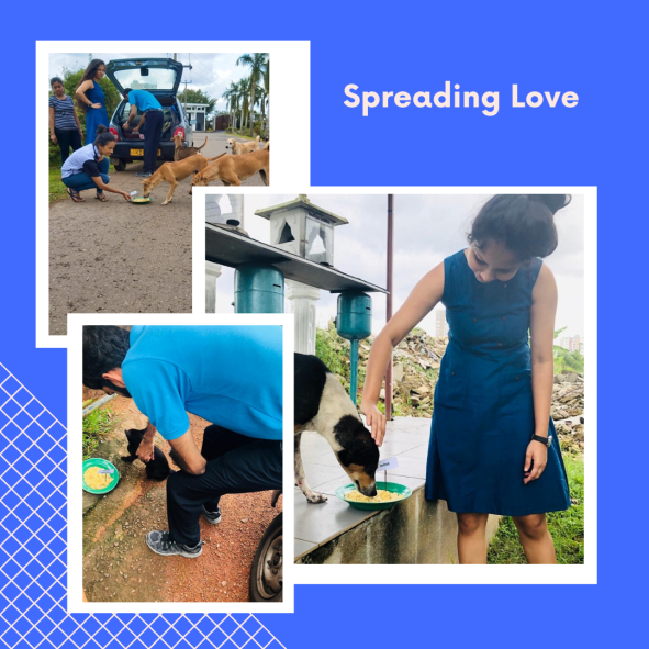 Green Minimalist Plant Social Media Post (4)