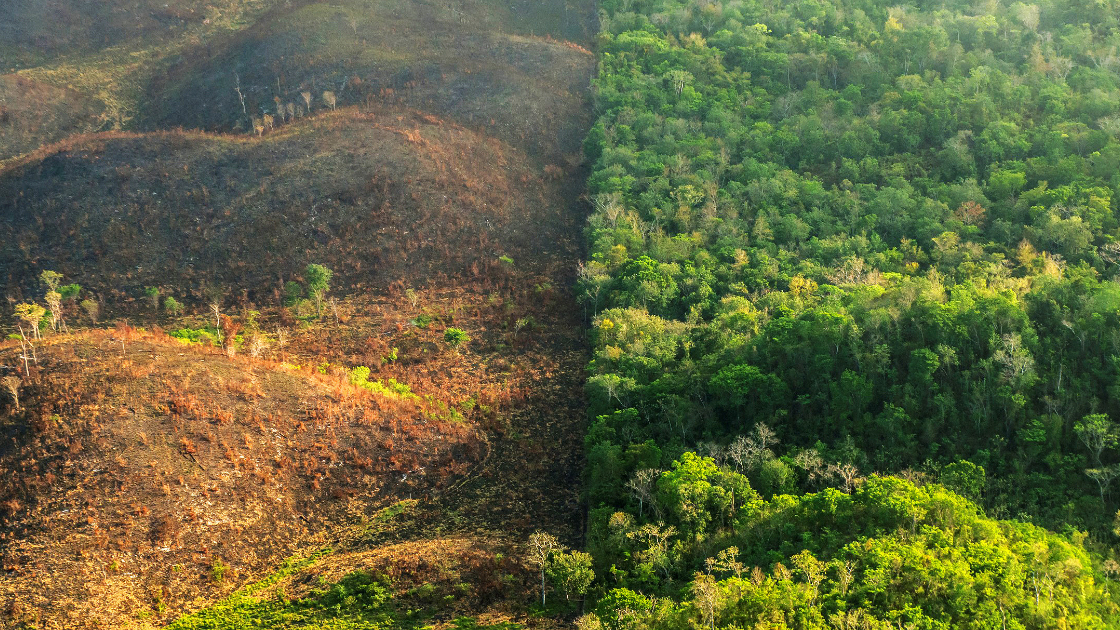 20200606_175407_0004