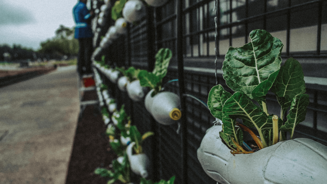 20200606_175407_0008