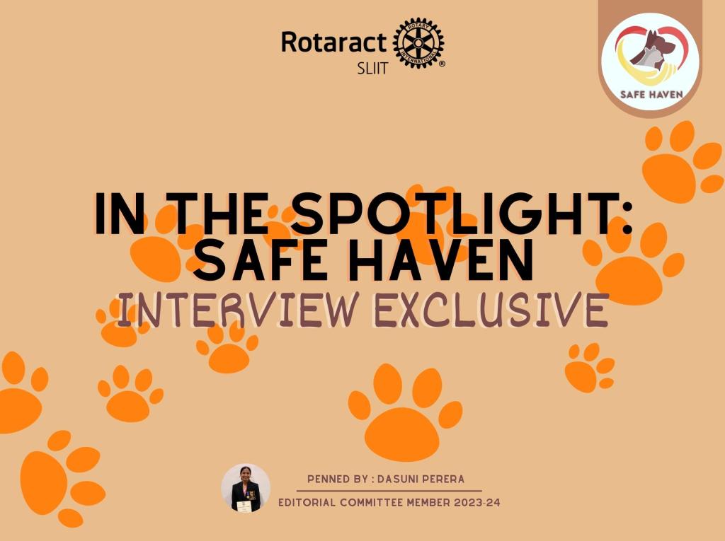 In The Spotlight: Safe Haven (Interview Exclusive)